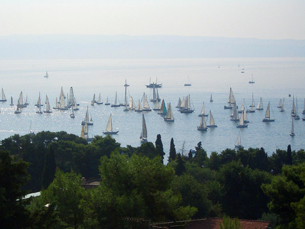 A regatta taking place along the coast, as seen from our balcony